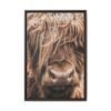 Highland Majesty – Highland Cow Wall Art, Premium Matte Framed Canvas Decor