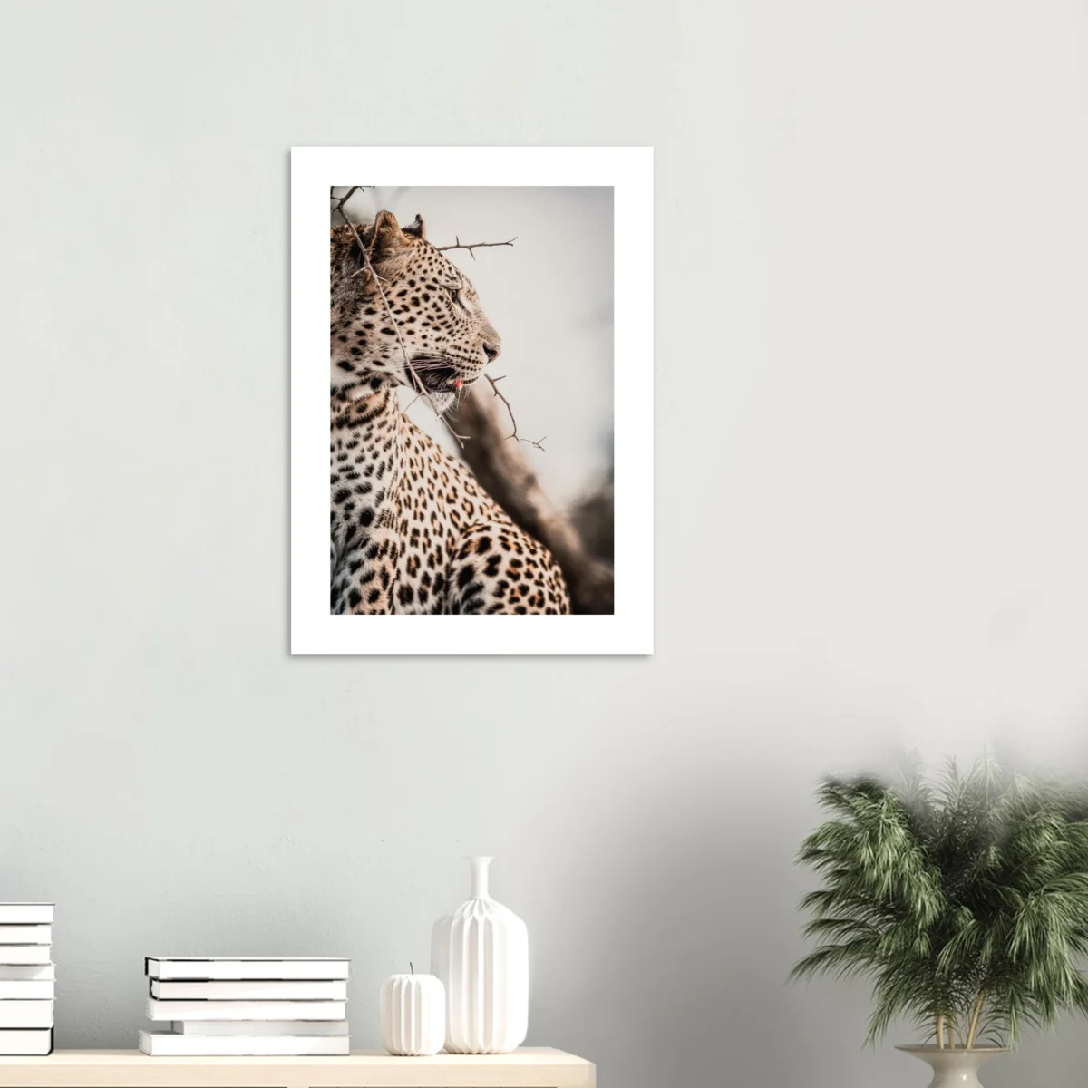 Fine art paper prints — colourful abstract prints displayed on a white minimalist wall