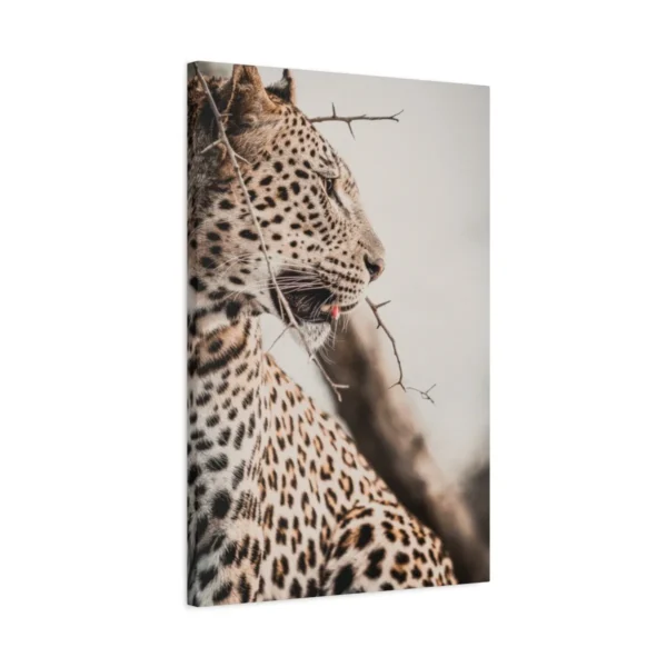 Leopard in the Thorns — Leopard Portrait Wall Art, Premium Matte Canvas Decor