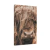 Highland Majesty – Highland Cow Wall Art, Premium Matte Stretched Canvas