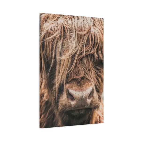 matte-canvas-stretched-125_compressed Highland Majesty – Highland Cow Wall Art, Premium Matte Stretched Canvas