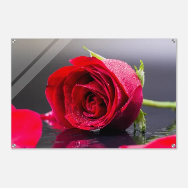 0d300853-9347-4d7d-a20d-85eb22e88dae