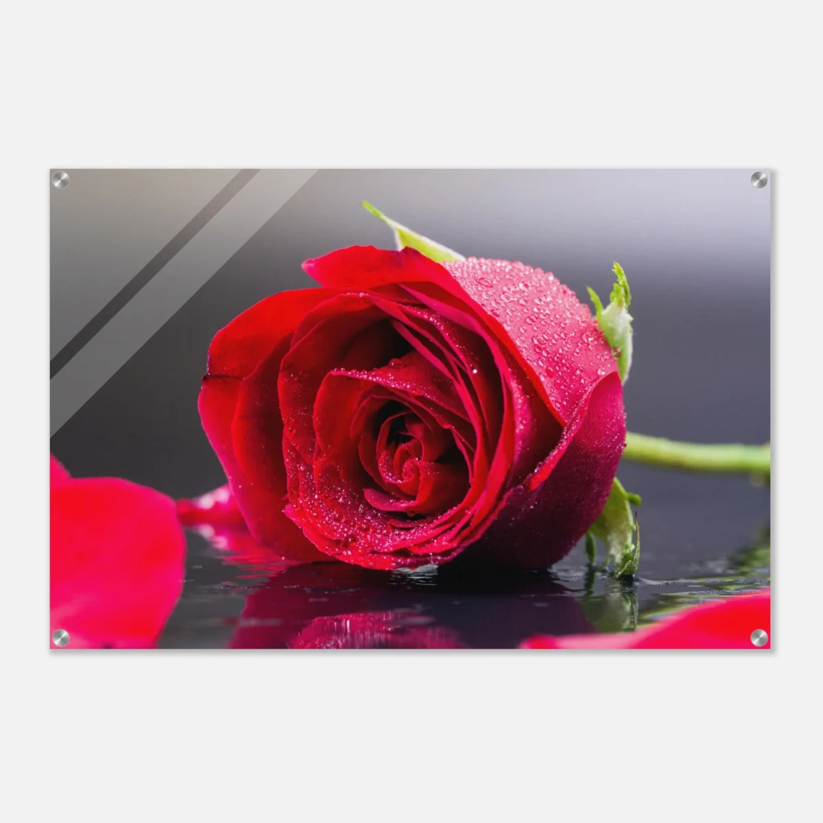 0d300853-9347-4d7d-a20d-85eb22e88dae