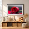 Red Rose Wall Art – Crimson Dewfall Framed Print for Elegant Modern Interiors