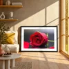 Red Rose Wall Art – Crimson Dewfall Framed Print for Elegant Modern Interiors