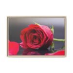 Crimson Dewfall – Red Rose Wall Art | Romantic Framed Canvas for Elegant Interiors
