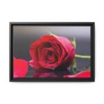 Crimson Dewfall – Red Rose Wall Art | Romantic Framed Canvas for Elegant Interiors