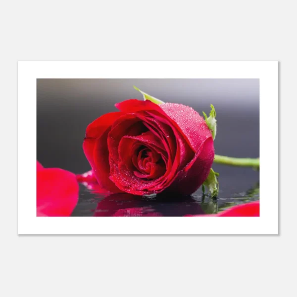 b300cbb2-dde6-4240-a0e9-37733f6e9a42.webp b300cbb2-dde6-4240-a0e9-37733f6e9a42