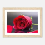 dbb1f35a-b1eb-49d1-a869-ff2cccaaf28a