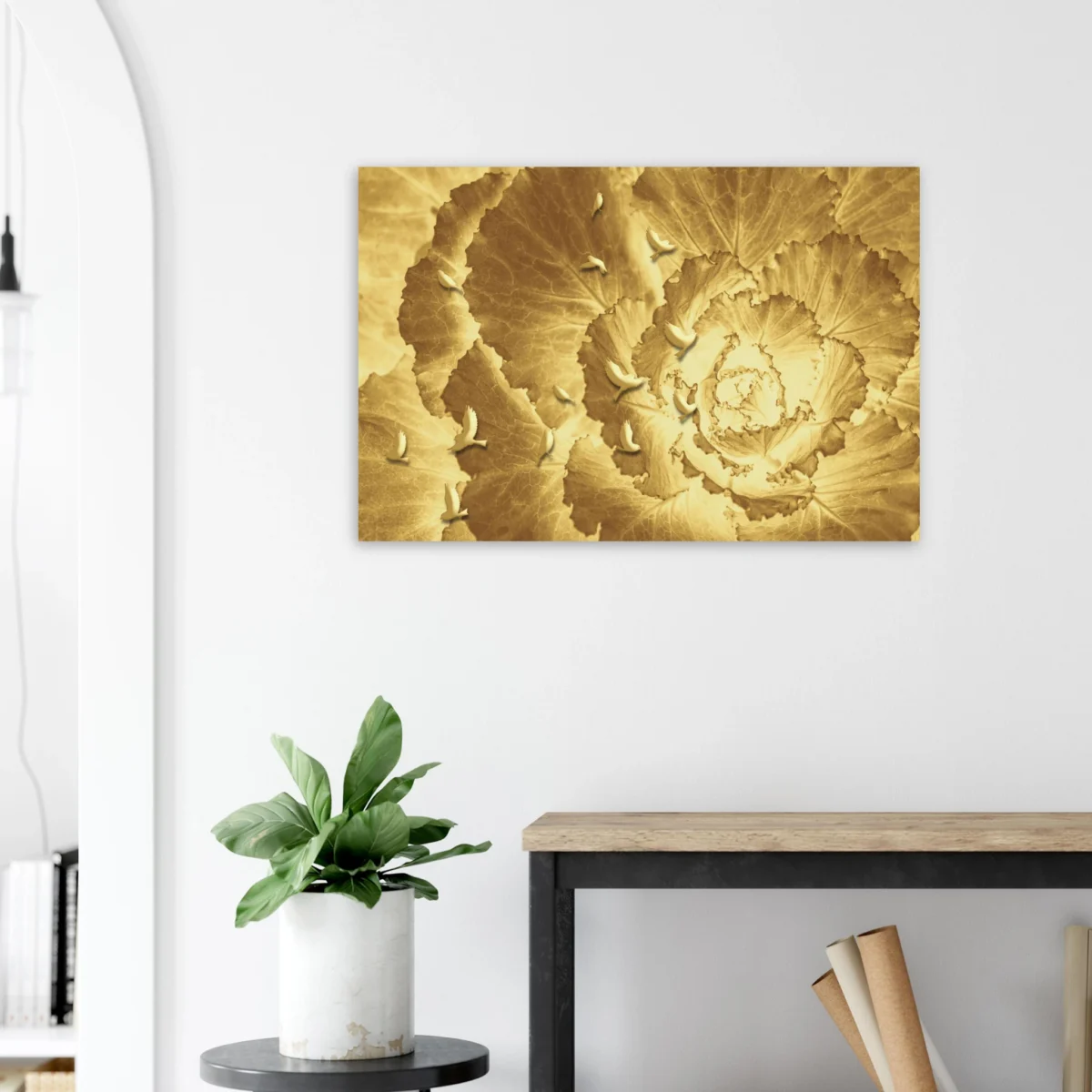 Fine art paper prints — colourful abstract prints displayed on a white minimalist wall